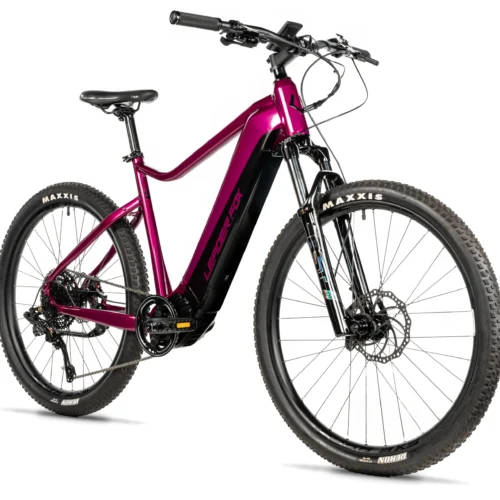 Horské elektrokolo Leader Fox Kent 29" 2025 rám /19,5" / 21,5" - baterie 20Ah (pánské)