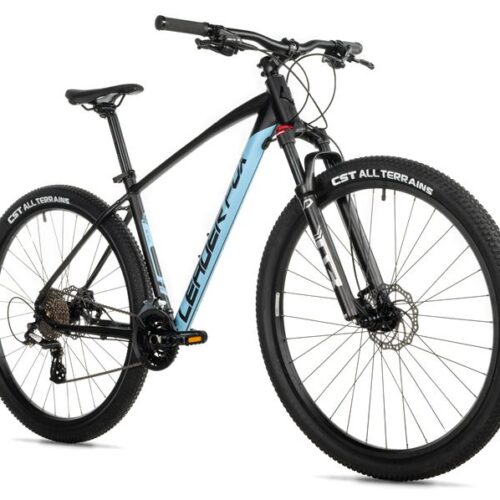 1-56.jpg EVOLUTION 29, 22"-4, BLACK MATT/BLUE (2X8)