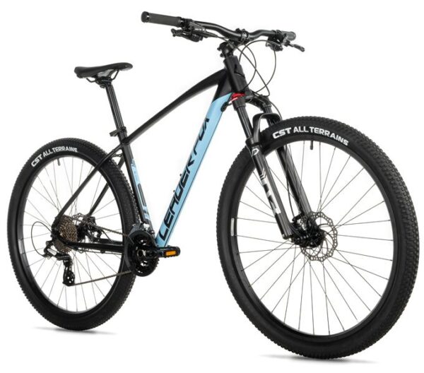1-56.jpg EVOLUTION 29, 22"-4, BLACK MATT/BLUE (2X8)