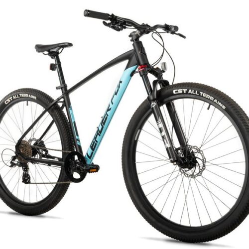 11-40.jpg SONORA 29, 18"-1, BLACK MATT (1X8)