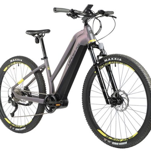 111-2.jpg E-BIKE AWALON LADY 29", 16,5"-1, GREY CHANGING (M420)
