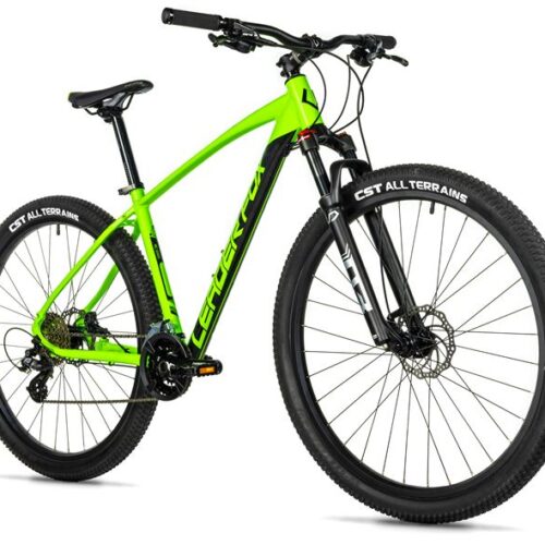 1111-17.jpg EVOLUTION 29, 20"-1, GREEN (2X8)