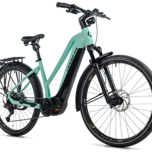 Dixon_11-2.jpg E-BIKE DIXON LADY 29",20"-3, GREEN LIGHT (PANASONIC)