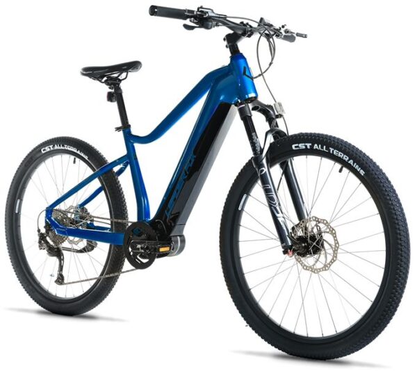 E-BIKE SWAN GENT 29", 17,5"-3, BLUE SHINY (MODEST)