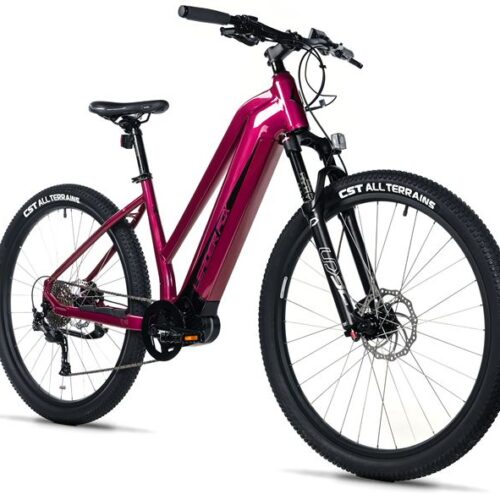 1-4.jpg E-BIKE SWAN LADY 29", 20"-2, VIOLET SHINY (MODEST)