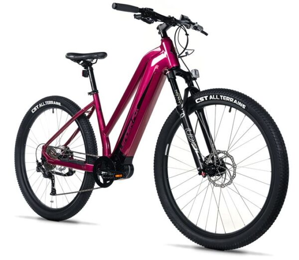 E-BIKE SWAN LADY 29", 18"-2, VIOLET SHINY (MODEST)
