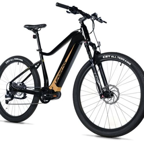 111-13.jpg E-BIKE SWAN GENT 27,5", 19,5"-1, BLACK SHINY - beige sticker (MODEST)
