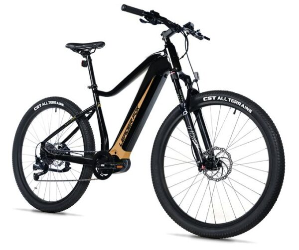 E-BIKE SWAN GENT 27,5", 19,5"-1, BLACK SHINY - beige sticker (MODEST)