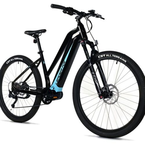 111-19.jpg E-BIKE SWAN LADY 29", 20"-1, BLACK SHINY - blue sticker (MODEST)