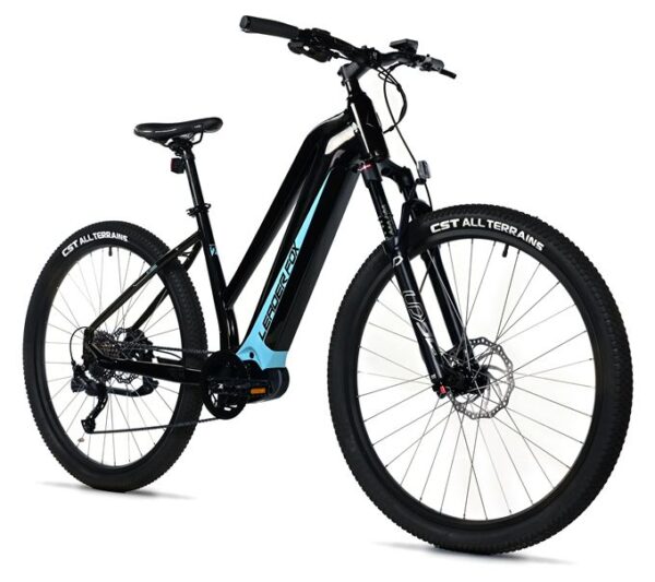 E-BIKE SWAN LADY 29", 20"-1, BLACK SHINY  - blue sticker (MODEST)