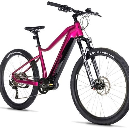 1111-3.jpg E-BIKE SWAN GENT 27,5", 17,5"-3, VIOLET SHINY (MODEST)
